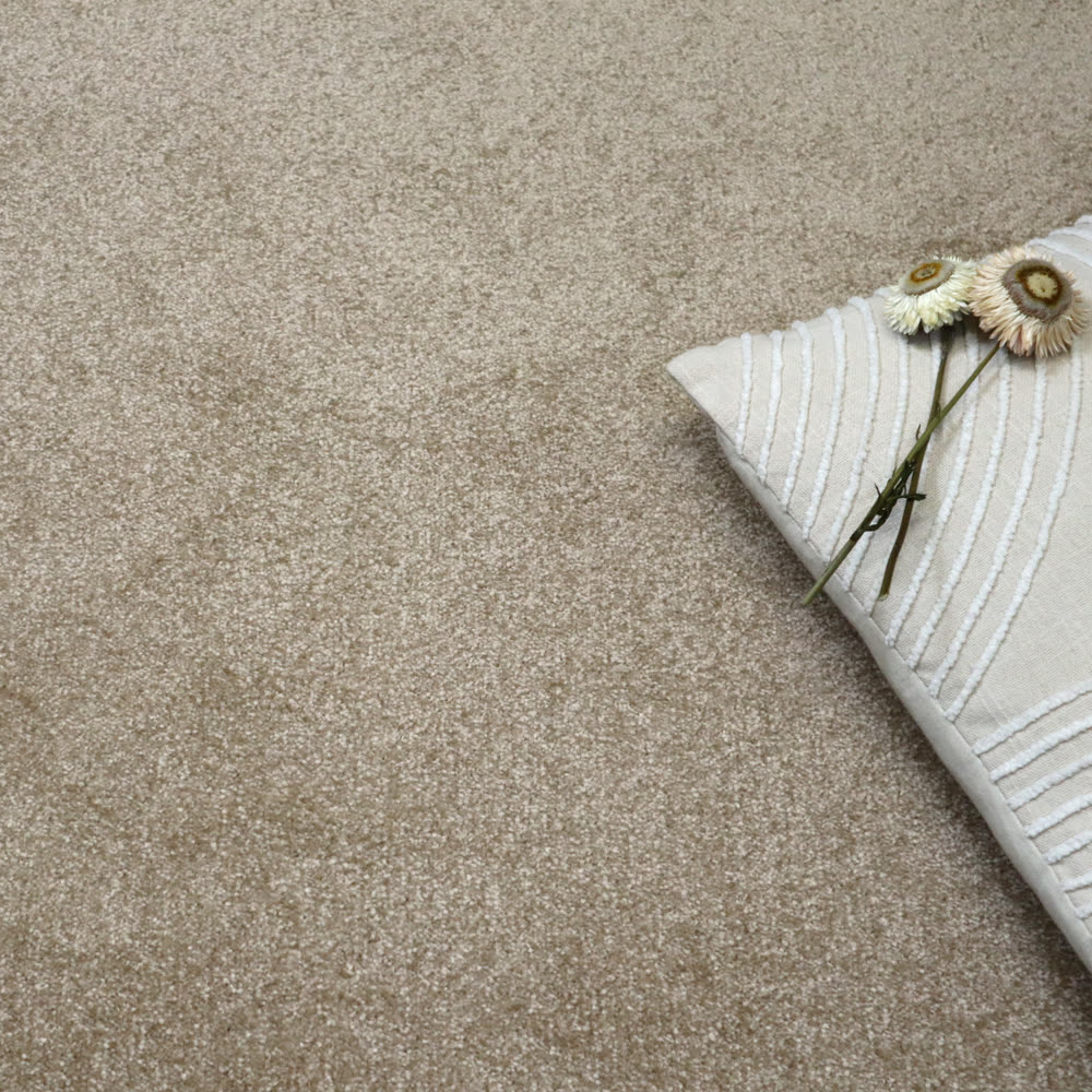 Royal Saxony saxony carpet pile